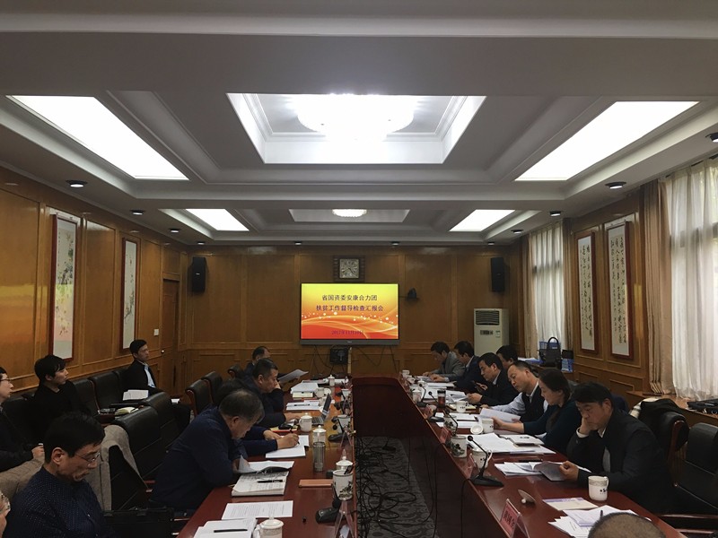 陕西沙巴集团参与省国资委安康合力团扶贫工作督导查抄汇报会 陕西沙巴集团参与省国资委安康合力团扶贫工作督导查抄汇报会