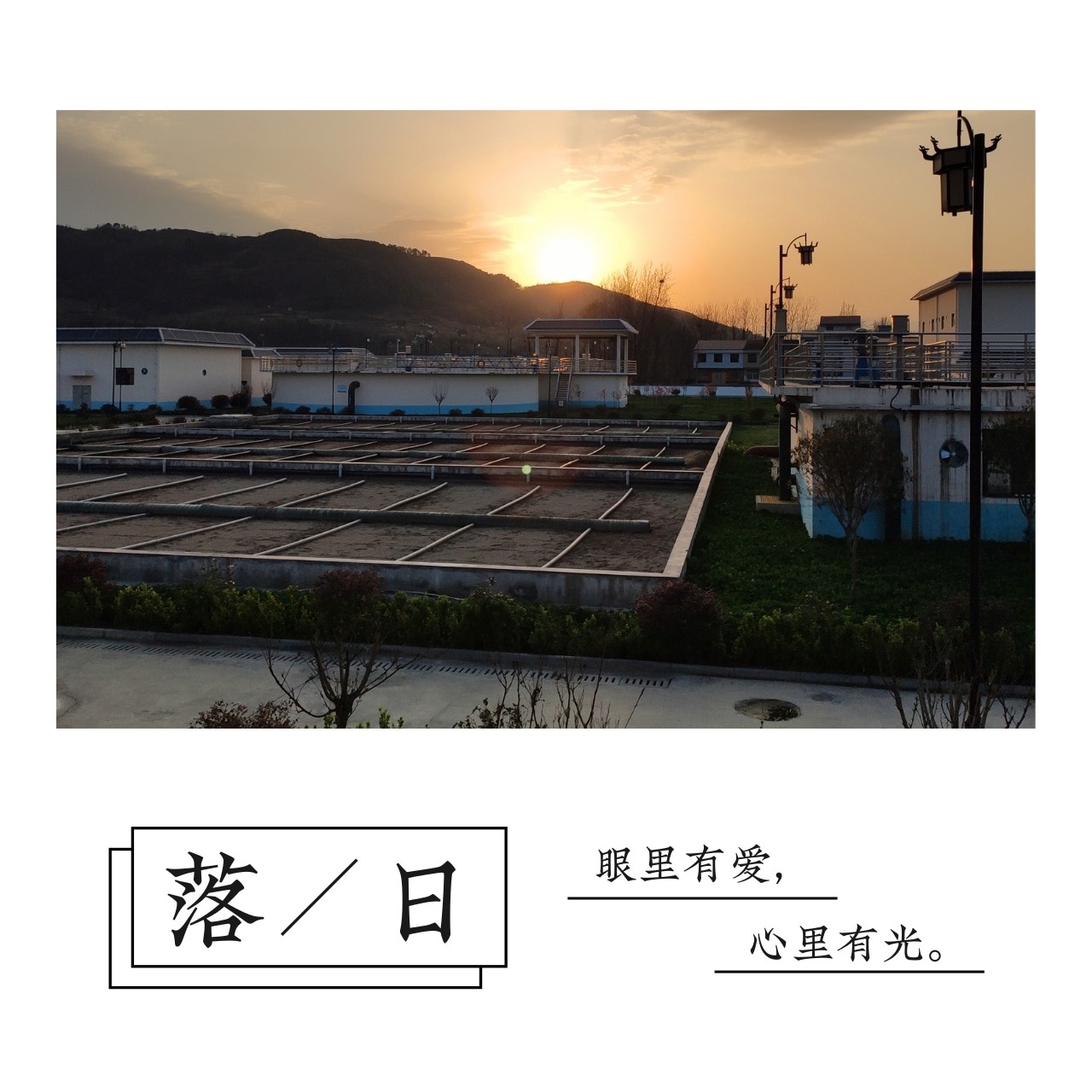 “绿满厂区春意浓”摄影文章征集活动部门文章展示(一) “绿满厂区春意浓”摄影文章征集活动部门文章展示(一)