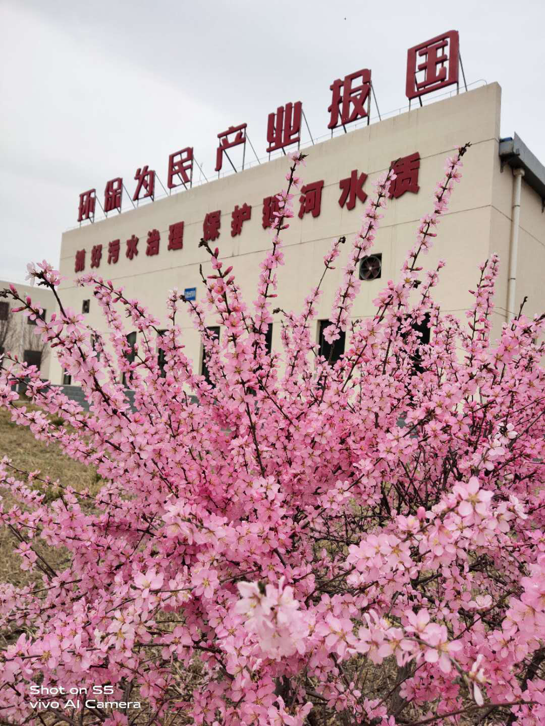 “绿满厂区春意浓”摄影文章征集活动部门文章展示(二) “绿满厂区春意浓”摄影文章征集活动部门文章展示(二)