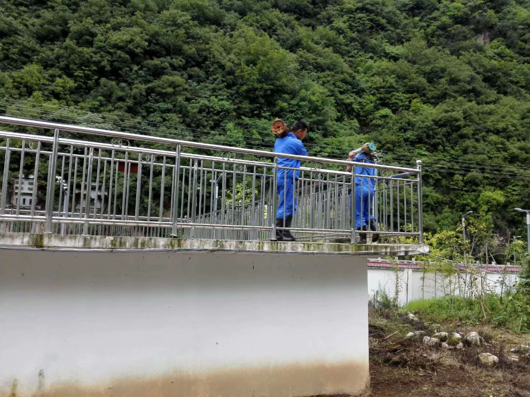 这个端午节，水环境人这么过（二）