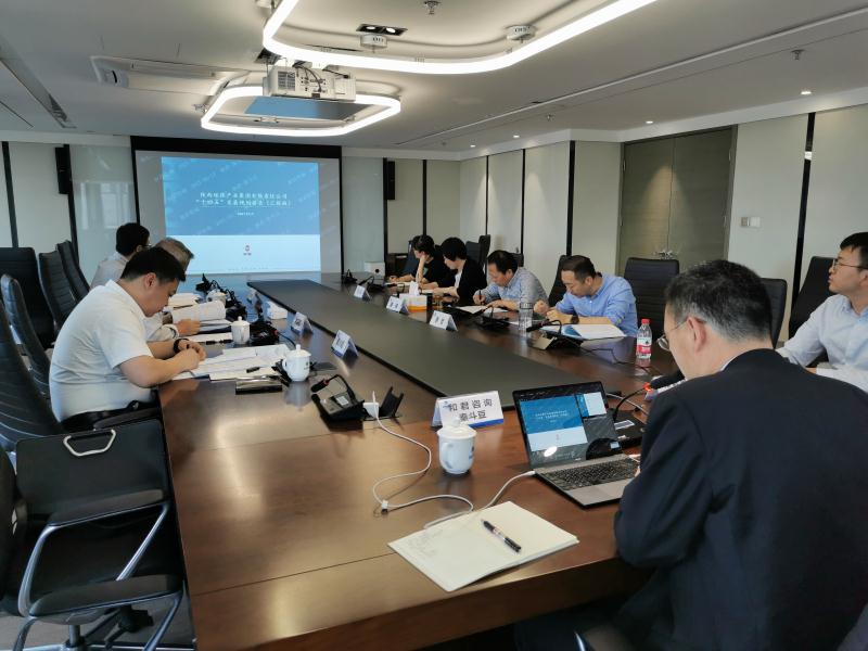 陕西沙巴集团召开“十四五”发展规划专家评审座谈会 陕西沙巴集团召开“十四五”发展规划专家评审座谈会