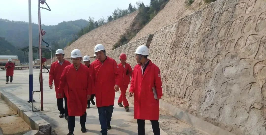 省治本攻坚三年行动工作专班到陕西沙巴集团督导查抄