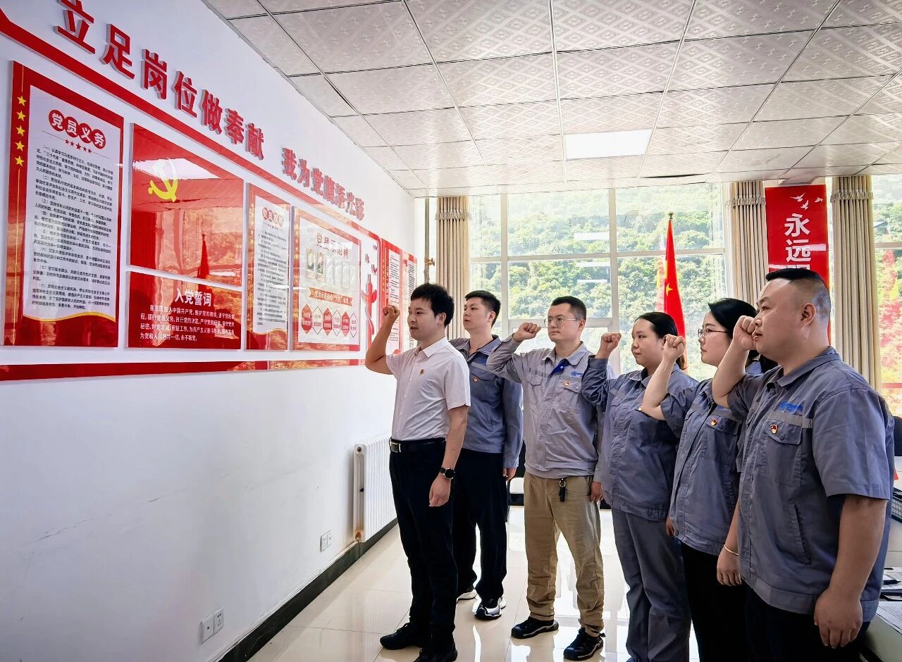 水环境公司陕南片区结合党支部发展主题党日暨专题党课活动 水环境公司陕南片区结合党支部发展主题党日暨专题党课活动